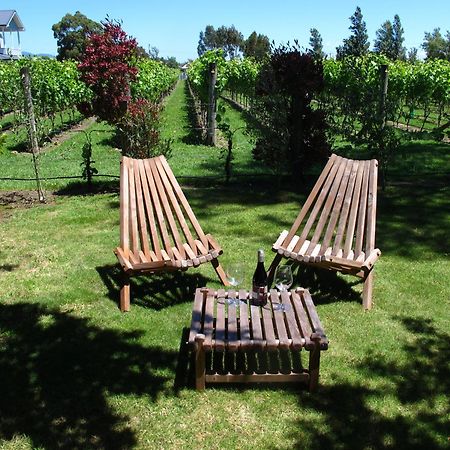 Villa In The Vines Martinborough Zewnętrze zdjęcie