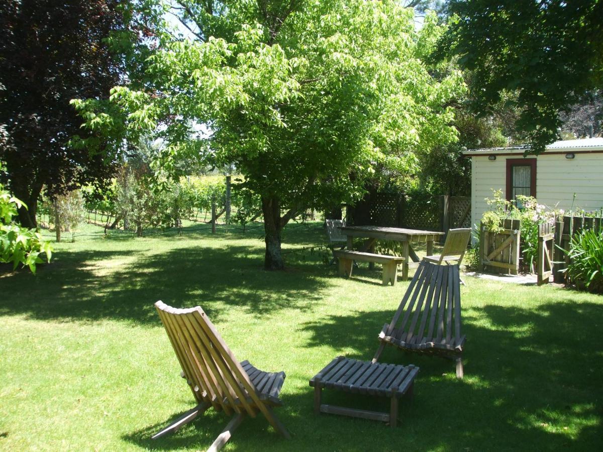 Villa In The Vines Martinborough Zewnętrze zdjęcie