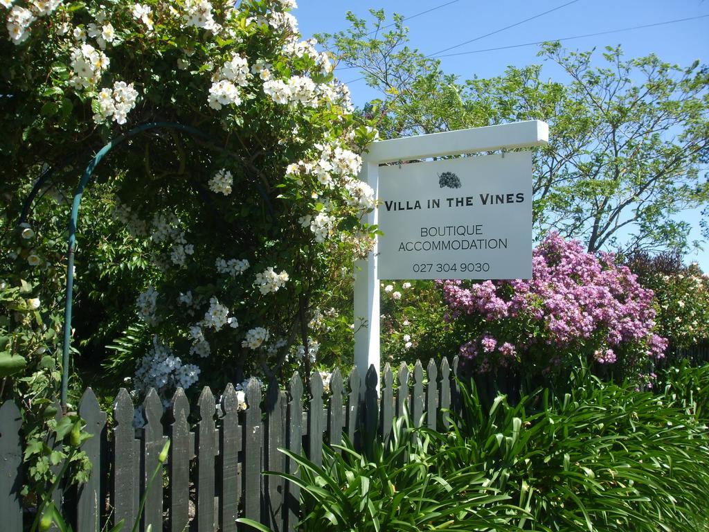 Villa In The Vines Martinborough Zewnętrze zdjęcie