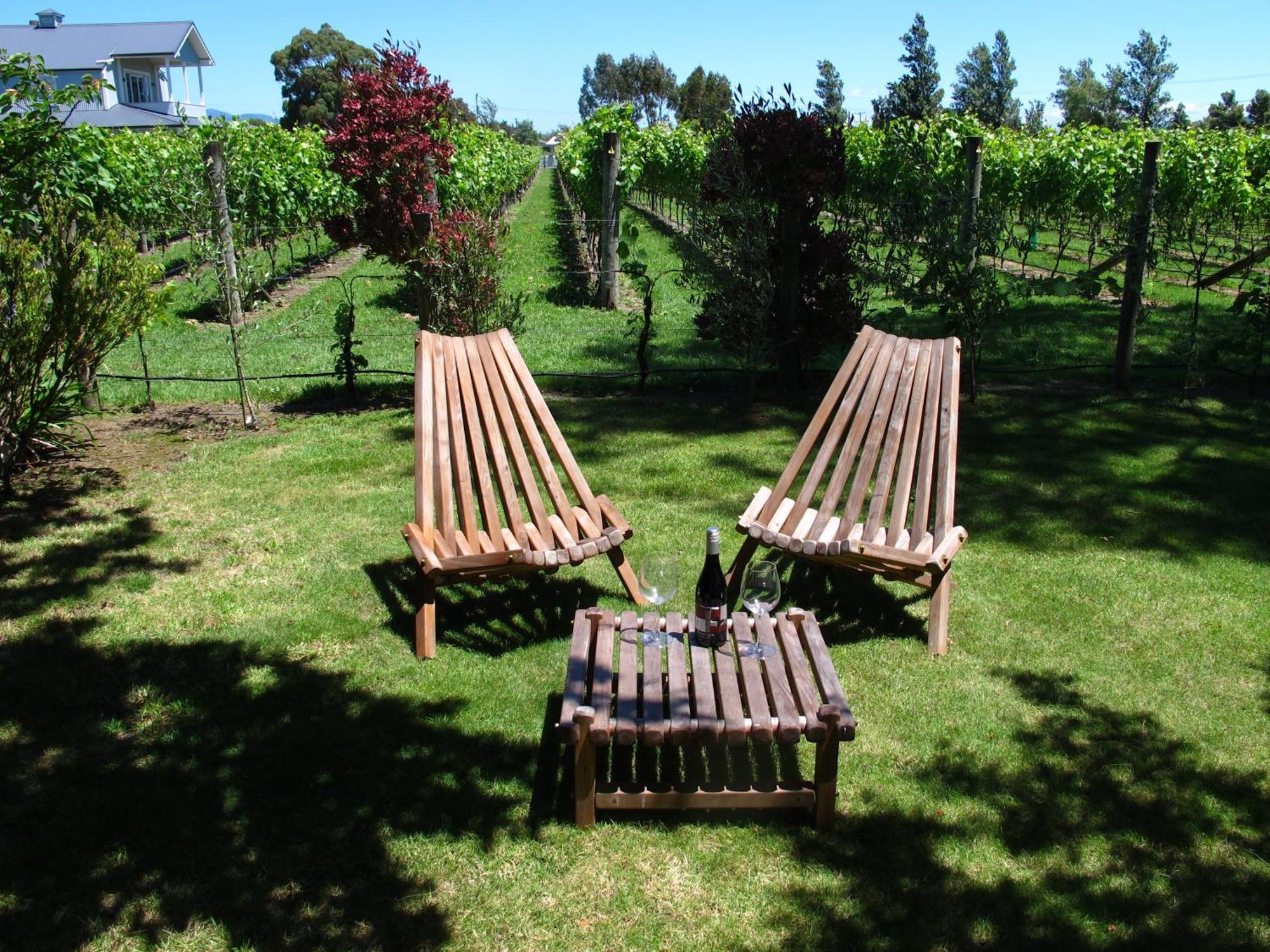 Villa In The Vines Martinborough Zewnętrze zdjęcie